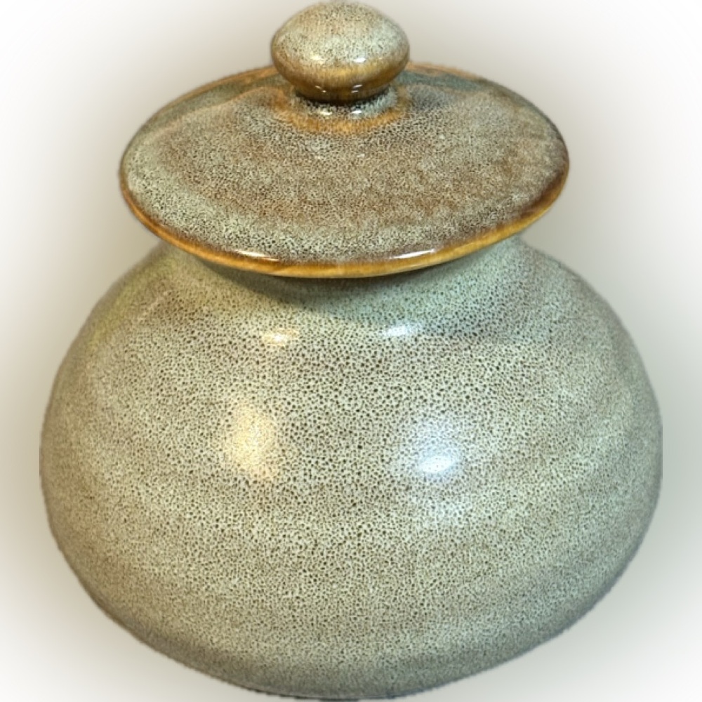 Ruff Hewn Pottery Stoneware Jar with Lid